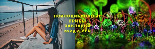 индика Бугульма